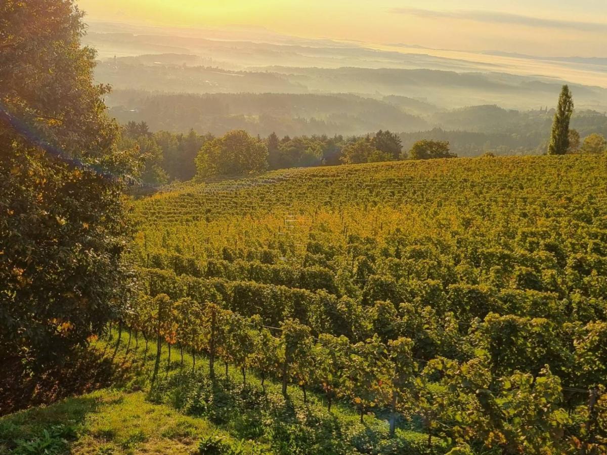 Weinstoeckl Hochgrail Pures Sein Villa Sankt Stefan ob Stainz ภายนอก รูปภาพ
